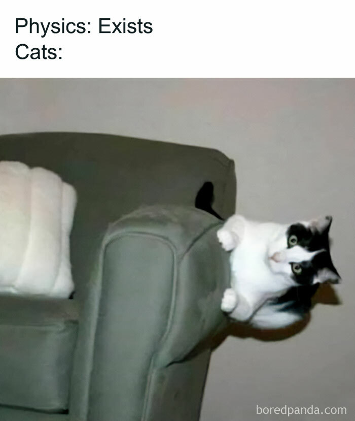 40 Times The World Said &lsquo;No, Thank You&rsquo; To Gravity, As Seen On This Group