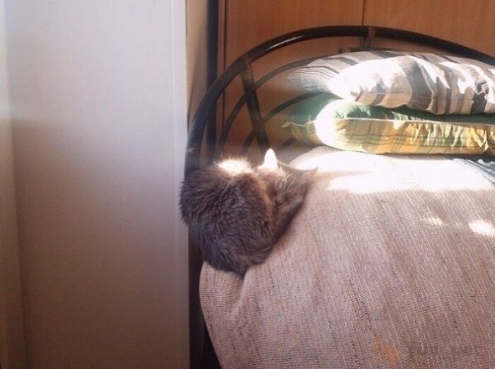 40 Times The World Said &lsquo;No, Thank You&rsquo; To Gravity, As Seen On This Group