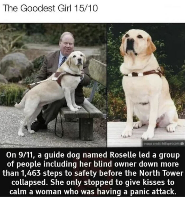 30 Real-Life Photos That Look Like They&rsquo;ve Come From A Video Game (New Pics)