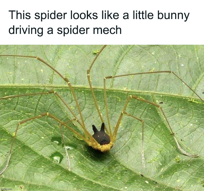 30 Real-Life Photos That Look Like They&rsquo;ve Come From A Video Game (New Pics)