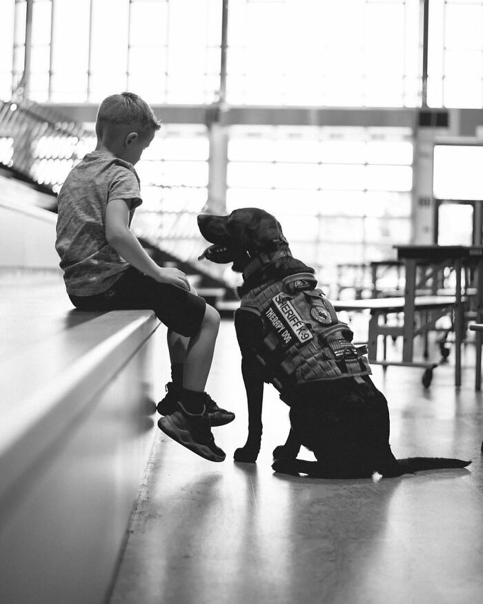 K9 Puppy Melts Hearts By Dozing Off During Swearing-In Ceremony K9 Puppy Melts Hearts By Dozing Off During Swearing-In Ceremony