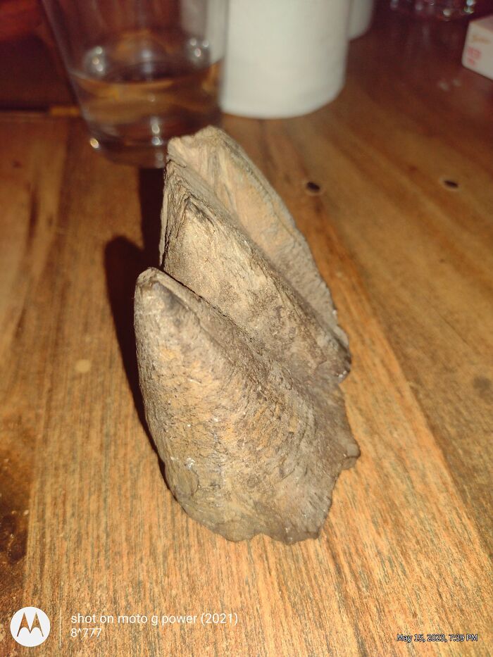 Hey Pandas, Share The Oldest And Newest Thing In Your Home (Closed) Hey Pandas, Share The Oldest And Newest Thing In Your Home (Closed)