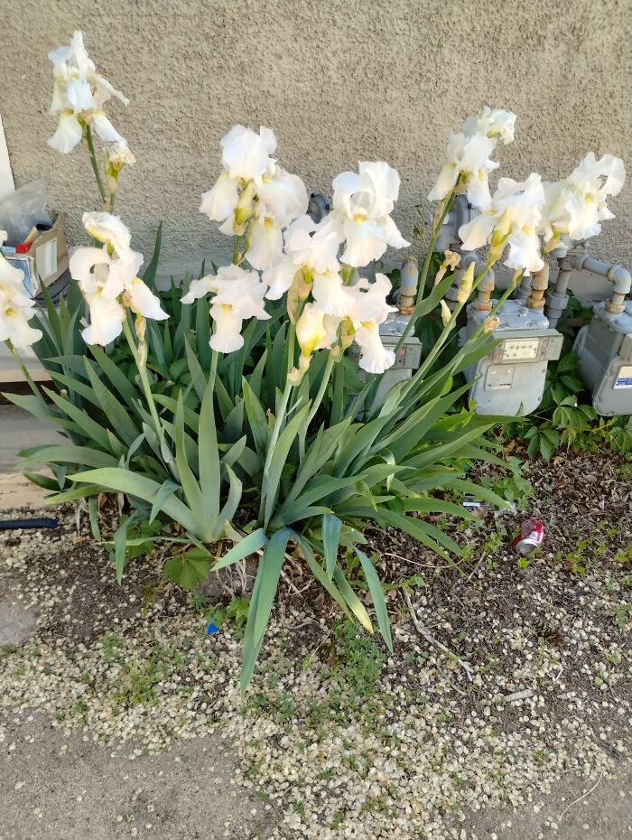 Hey Pandas, Share The Oldest And Newest Thing In Your Home (Closed) Hey Pandas, Share The Oldest And Newest Thing In Your Home (Closed)