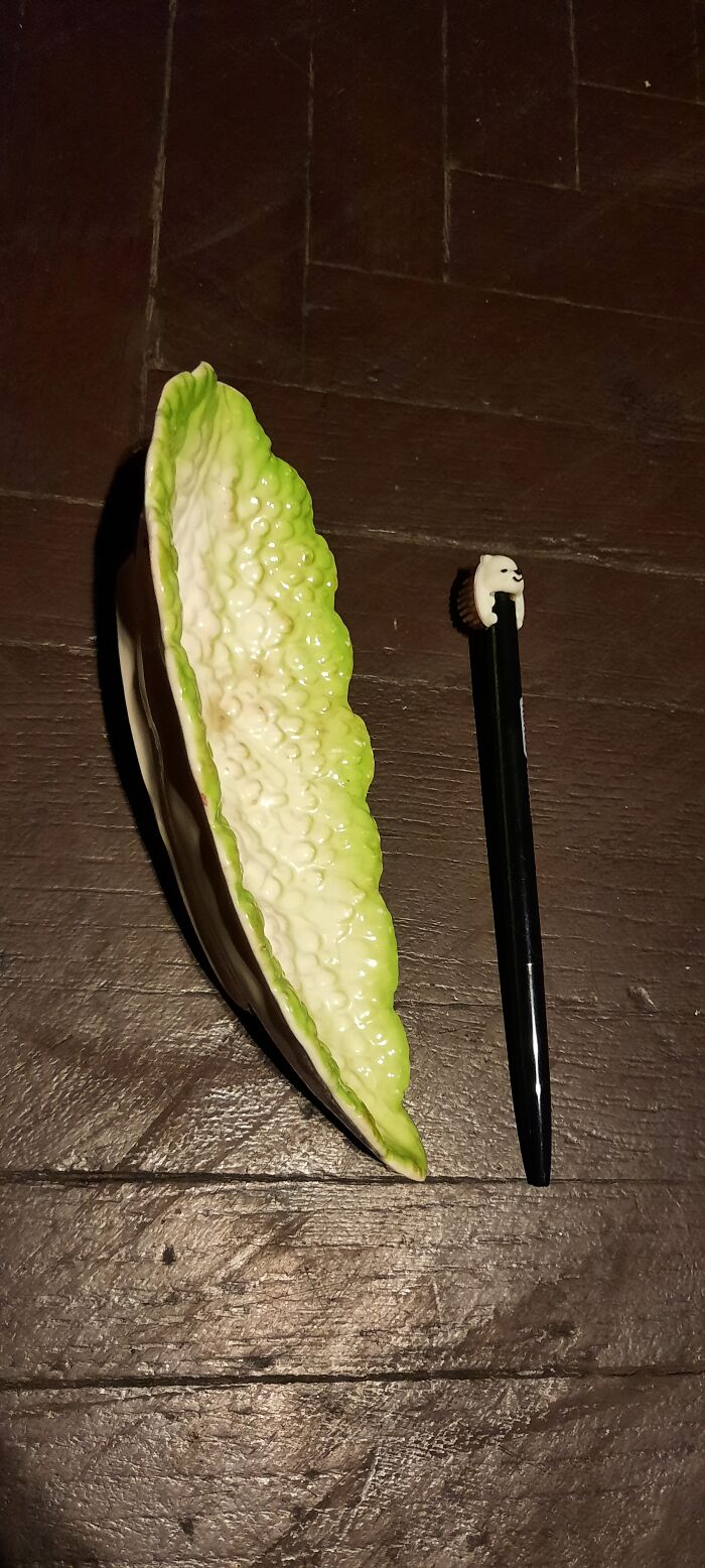 Hey Pandas, Share The Oldest And Newest Thing In Your Home (Closed) Hey Pandas, Share The Oldest And Newest Thing In Your Home (Closed)