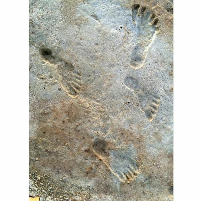 30 Important Historical Photos That Might Change Your Perspective On Things (New Pics) 30 Important Historical Photos That Might Change Your Perspective On Things (New Pics)