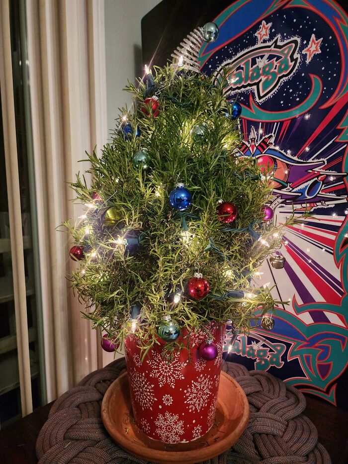 People Are Sharing Their Best &#8216;Zero Waste&#8217; Tips And Tricks, Here Are 30 Of The Most Helpful Ones (New Pics)