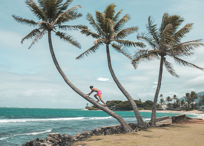 30 People Share What Happened With Their Prizes After Winning A Game Show