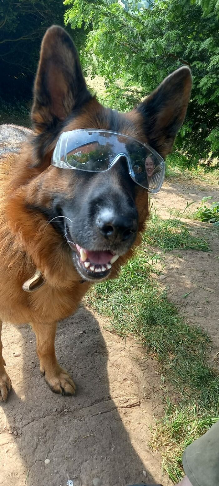 Hey Pandas, Show Us Something That Costs A Lot Of Money But Is Worth It (Closed) Hey Pandas, Show Us Something That Costs A Lot Of Money But Is Worth It (Closed)