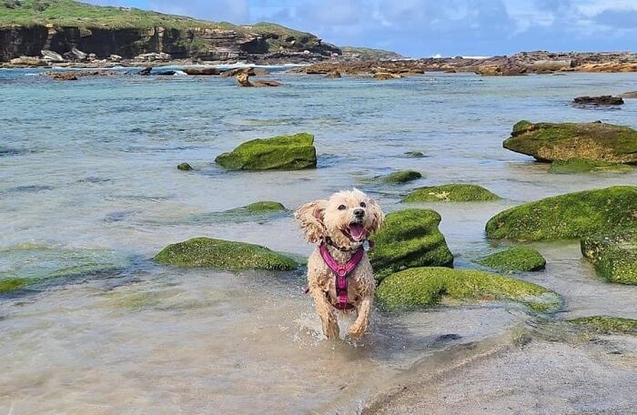 Hey Pandas, Show Us Something That Costs A Lot Of Money But Is Worth It (Closed) Hey Pandas, Show Us Something That Costs A Lot Of Money But Is Worth It (Closed)