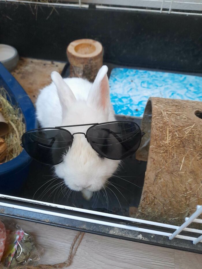 Hey Pandas, Show Us Something That Costs A Lot Of Money But Is Worth It (Closed) Hey Pandas, Show Us Something That Costs A Lot Of Money But Is Worth It (Closed)