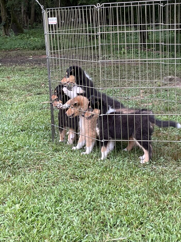 Hey Pandas, Show Us Something That Costs A Lot Of Money But Is Worth It (Closed) Hey Pandas, Show Us Something That Costs A Lot Of Money But Is Worth It (Closed)