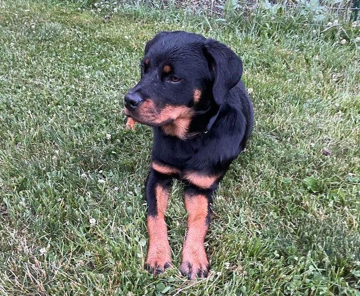 Hey Pandas, Show Us Something That Costs A Lot Of Money But Is Worth It (Closed) Hey Pandas, Show Us Something That Costs A Lot Of Money But Is Worth It (Closed)