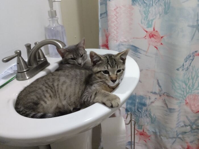 Hey Pandas, Show Us Something That Costs A Lot Of Money But Is Worth It (Closed) Hey Pandas, Show Us Something That Costs A Lot Of Money But Is Worth It (Closed)