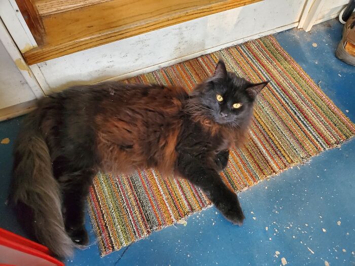 Hey Pandas, Show Us Something That Costs A Lot Of Money But Is Worth It (Closed) Hey Pandas, Show Us Something That Costs A Lot Of Money But Is Worth It (Closed)