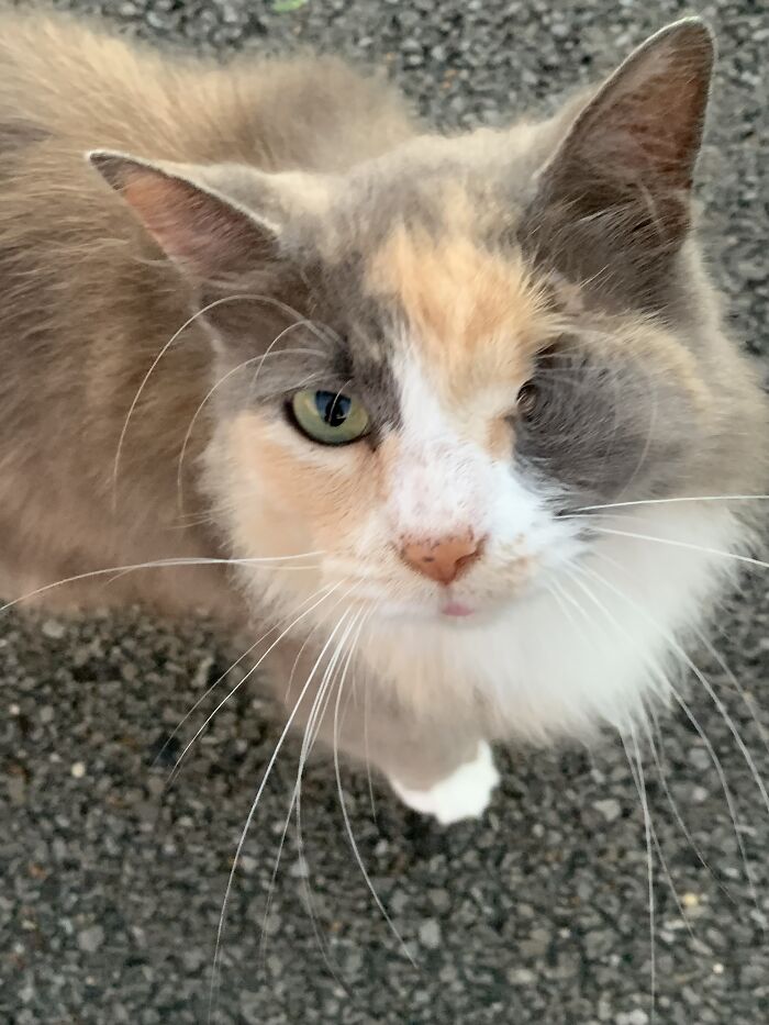 Hey Pandas, Show Us Something That Costs A Lot Of Money But Is Worth It (Closed) Hey Pandas, Show Us Something That Costs A Lot Of Money But Is Worth It (Closed)