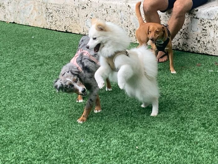 Hey Pandas, Show Us Something That Costs A Lot Of Money But Is Worth It (Closed) Hey Pandas, Show Us Something That Costs A Lot Of Money But Is Worth It (Closed)