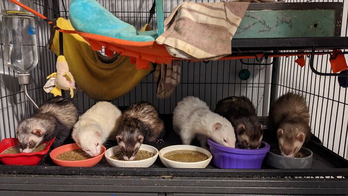 Hey Pandas, Show Us Something That Costs A Lot Of Money But Is Worth It (Closed) Hey Pandas, Show Us Something That Costs A Lot Of Money But Is Worth It (Closed)