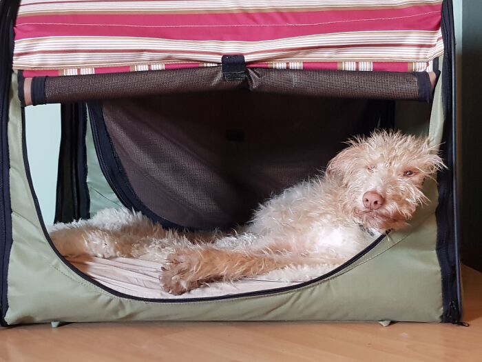 Hey Pandas, Show Us Something That Costs A Lot Of Money But Is Worth It (Closed) Hey Pandas, Show Us Something That Costs A Lot Of Money But Is Worth It (Closed)