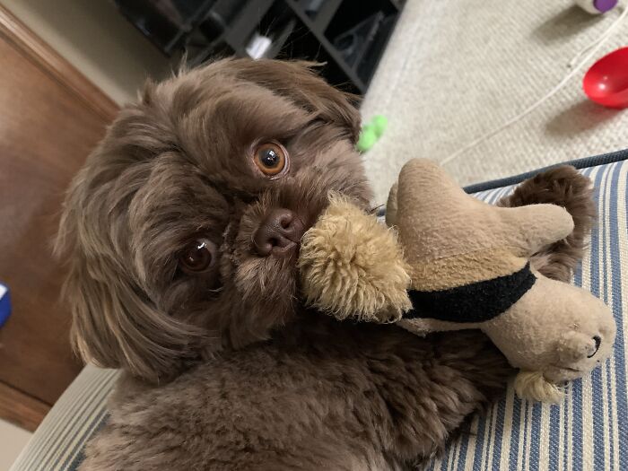 Hey Pandas, Show Us Something That Costs A Lot Of Money But Is Worth It (Closed) Hey Pandas, Show Us Something That Costs A Lot Of Money But Is Worth It (Closed)