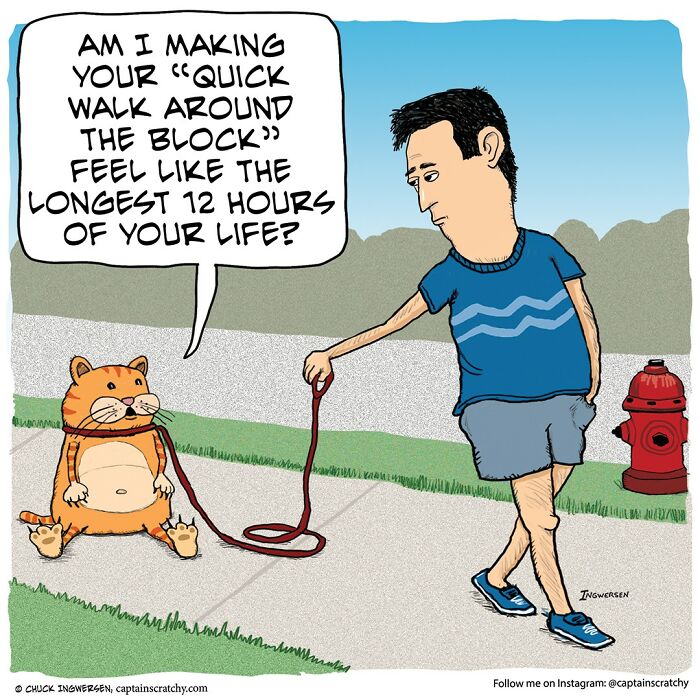 40 New Comics That Feature Animals In Funny Situations By Captainscratchy