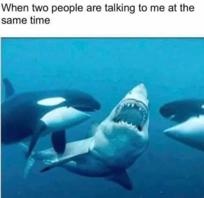 50 Hilariously Relatable Memes Shared On This Facebook Page 50 Hilariously Relatable Memes Shared On This Facebook Page