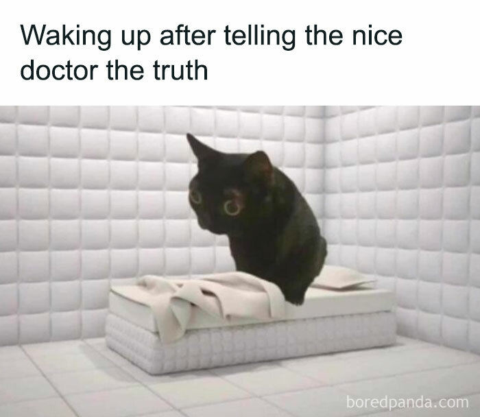 50 Hilariously Relatable Memes Shared On This Facebook Page 50 Hilariously Relatable Memes Shared On This Facebook Page