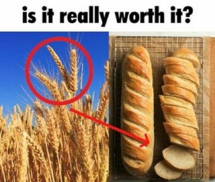 “Baguettes In Unusual Places”: 40 Confusing And Amusing Pics “Baguettes In Unusual Places”: 40 Confusing And Amusing Pics