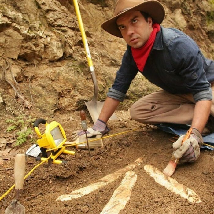 “Baguettes In Unusual Places”: 40 Confusing And Amusing Pics “Baguettes In Unusual Places”: 40 Confusing And Amusing Pics