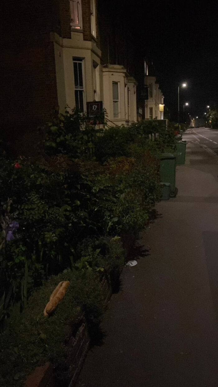 “Baguettes In Unusual Places”: 40 Confusing And Amusing Pics “Baguettes In Unusual Places”: 40 Confusing And Amusing Pics