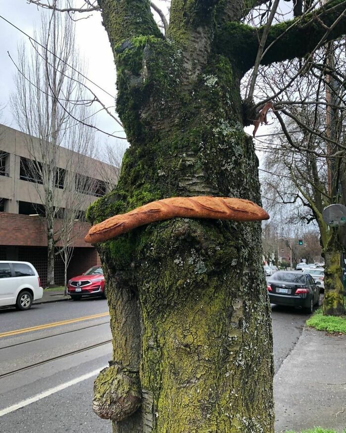 “Baguettes In Unusual Places”: 40 Confusing And Amusing Pics “Baguettes In Unusual Places”: 40 Confusing And Amusing Pics