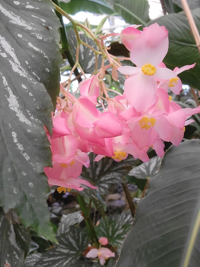 Hey Pandas, Show Us A Picture You Took That Looks Like It Came Straight Out Of A Fantasy (Closed)