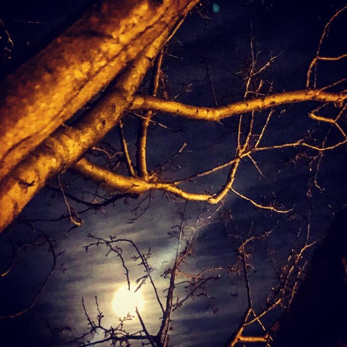 Hey Pandas, Show Us A Picture You Took That Looks Like It Came Straight Out Of A Fantasy (Closed) Hey Pandas, Show Us A Picture You Took That Looks Like It Came Straight Out Of A Fantasy (Closed)