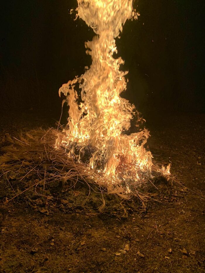 Hey Pandas, Show Us A Picture You Took That Looks Like It Came Straight Out Of A Fantasy (Closed) Hey Pandas, Show Us A Picture You Took That Looks Like It Came Straight Out Of A Fantasy (Closed)