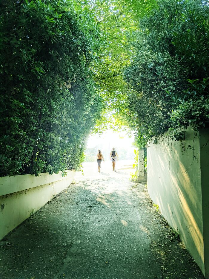 Hey Pandas, Show Us A Picture You Took That Looks Like It Came Straight Out Of A Fantasy (Closed)