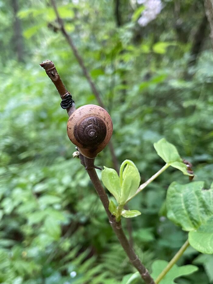 Hey Pandas, Show Us A Picture You Took That Looks Like It Came Straight Out Of A Fantasy (Closed) Hey Pandas, Show Us A Picture You Took That Looks Like It Came Straight Out Of A Fantasy (Closed)