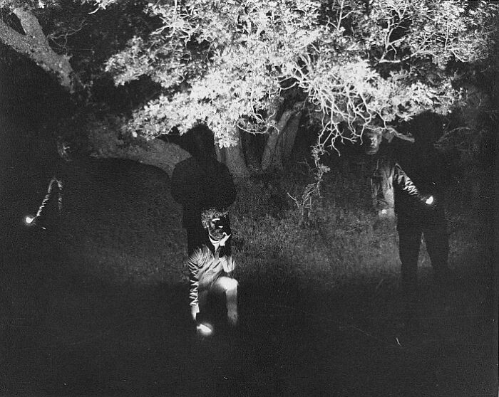 Hey Pandas, Show Us A Picture You Took That Looks Like It Came Straight Out Of A Fantasy (Closed) Hey Pandas, Show Us A Picture You Took That Looks Like It Came Straight Out Of A Fantasy (Closed)