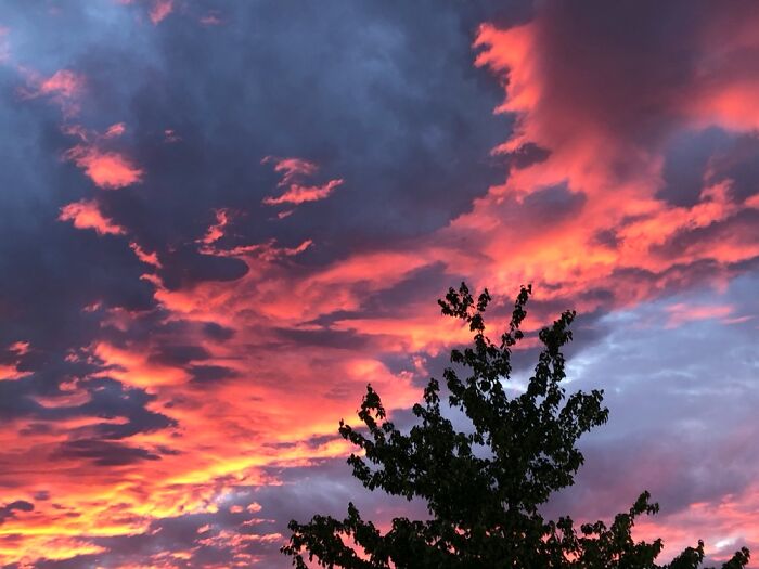 Hey Pandas, Show Us A Picture You Took That Looks Like It Came Straight Out Of A Fantasy (Closed)