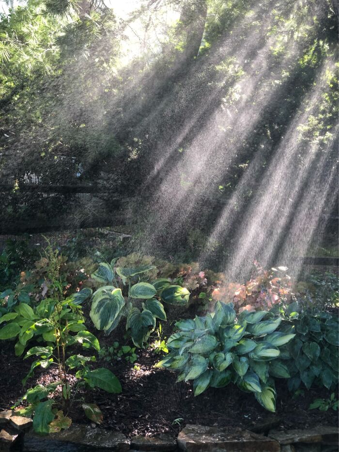 Hey Pandas, Show Us A Picture You Took That Looks Like It Came Straight Out Of A Fantasy (Closed) Hey Pandas, Show Us A Picture You Took That Looks Like It Came Straight Out Of A Fantasy (Closed)