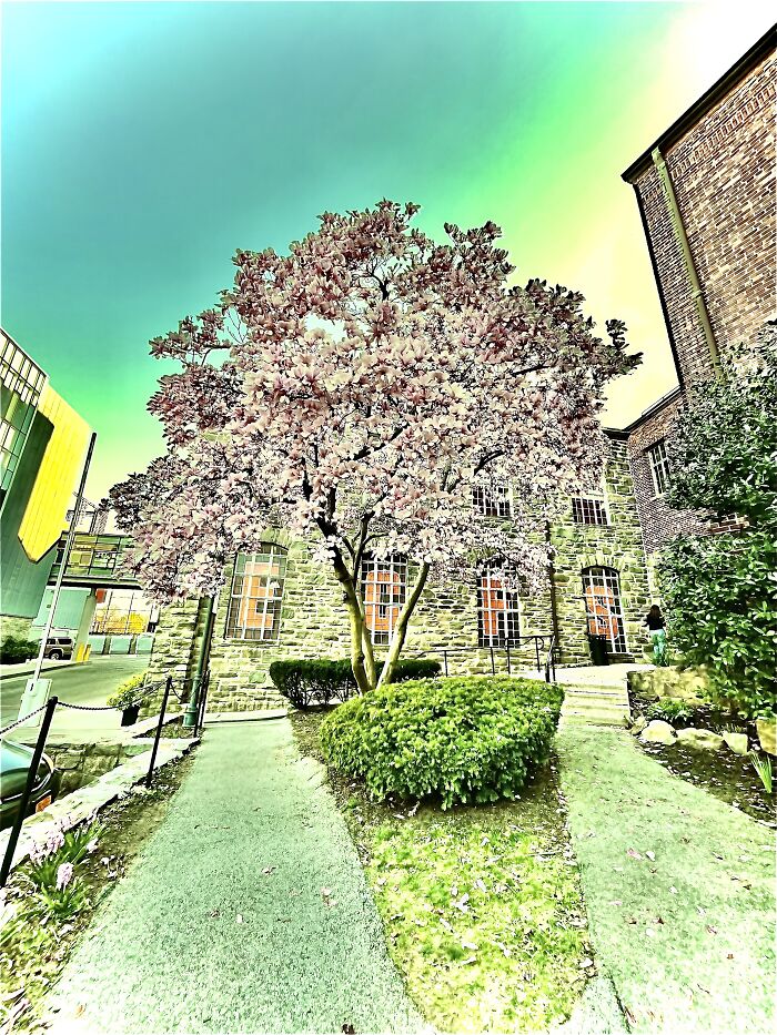 Hey Pandas, Show Us A Picture You Took That Looks Like It Came Straight Out Of A Fantasy (Closed)