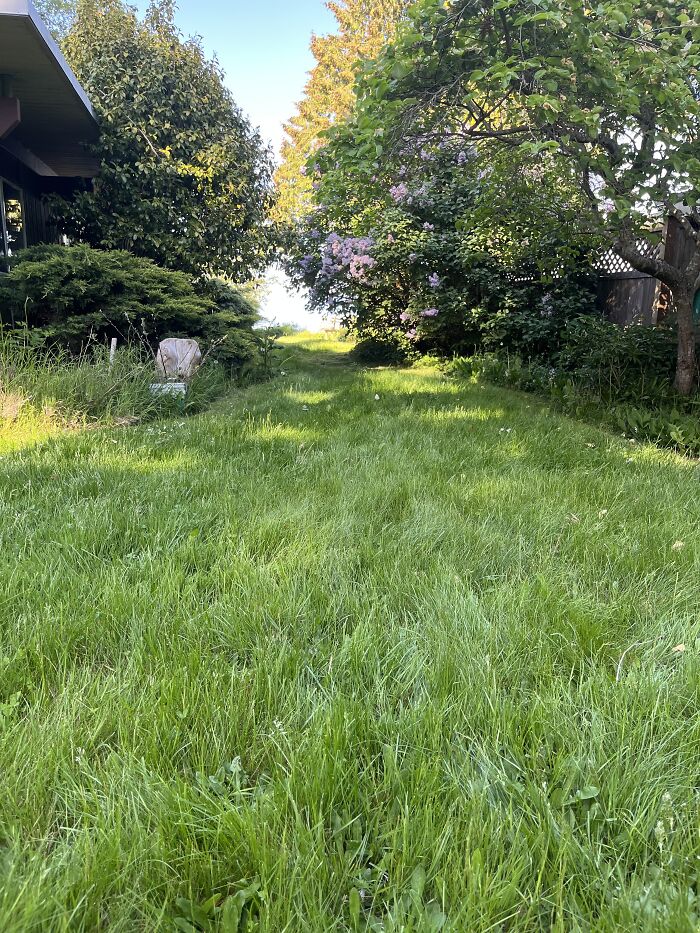 Hey Pandas, Show Us A Picture You Took That Looks Like It Came Straight Out Of A Fantasy (Closed) Hey Pandas, Show Us A Picture You Took That Looks Like It Came Straight Out Of A Fantasy (Closed)