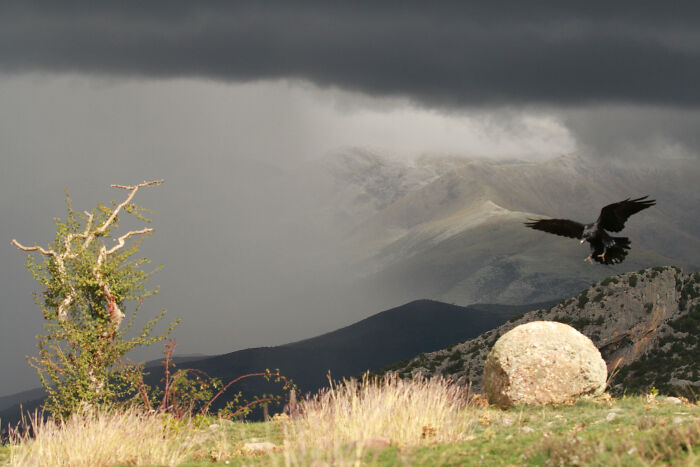 Hey Pandas, Show Us A Picture You Took That Looks Like It Came Straight Out Of A Fantasy (Closed) Hey Pandas, Show Us A Picture You Took That Looks Like It Came Straight Out Of A Fantasy (Closed)