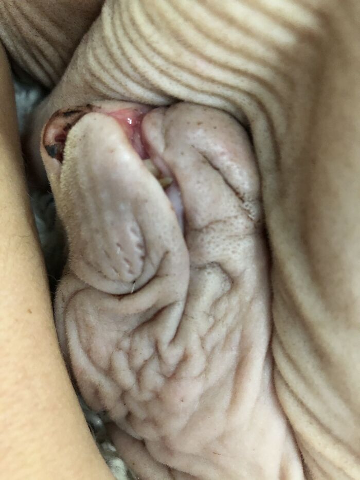 Hey Pandas, Show Us A Picture You Took That Looks Like It Came Straight Out Of A Fantasy (Closed)