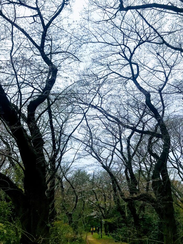 Hey Pandas, Show Us A Picture You Took That Looks Like It Came Straight Out Of A Fantasy (Closed) Hey Pandas, Show Us A Picture You Took That Looks Like It Came Straight Out Of A Fantasy (Closed)