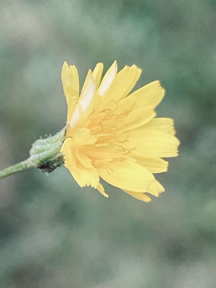 Hey Pandas, Show Us A Picture You Took That Looks Like It Came Straight Out Of A Fantasy (Closed)