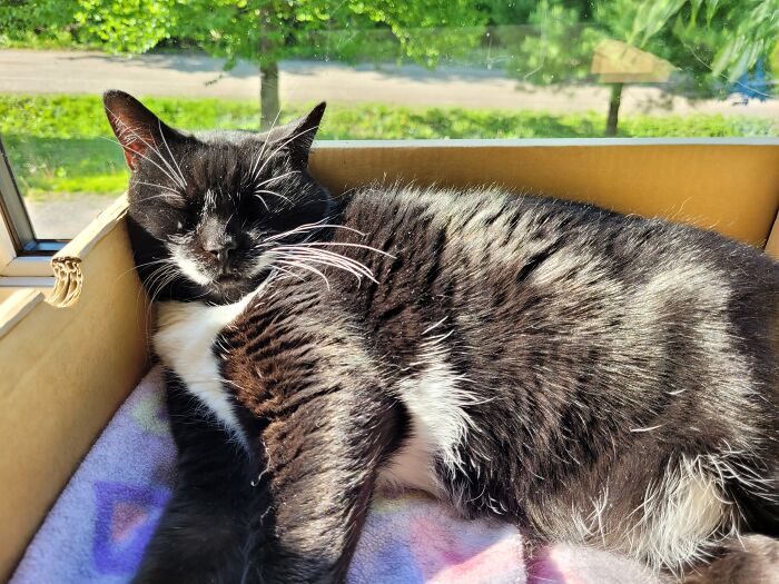 Hey Pandas, Share Something You Have Found And Taken Home (Closed) Hey Pandas, Share Something You Have Found And Taken Home (Closed)