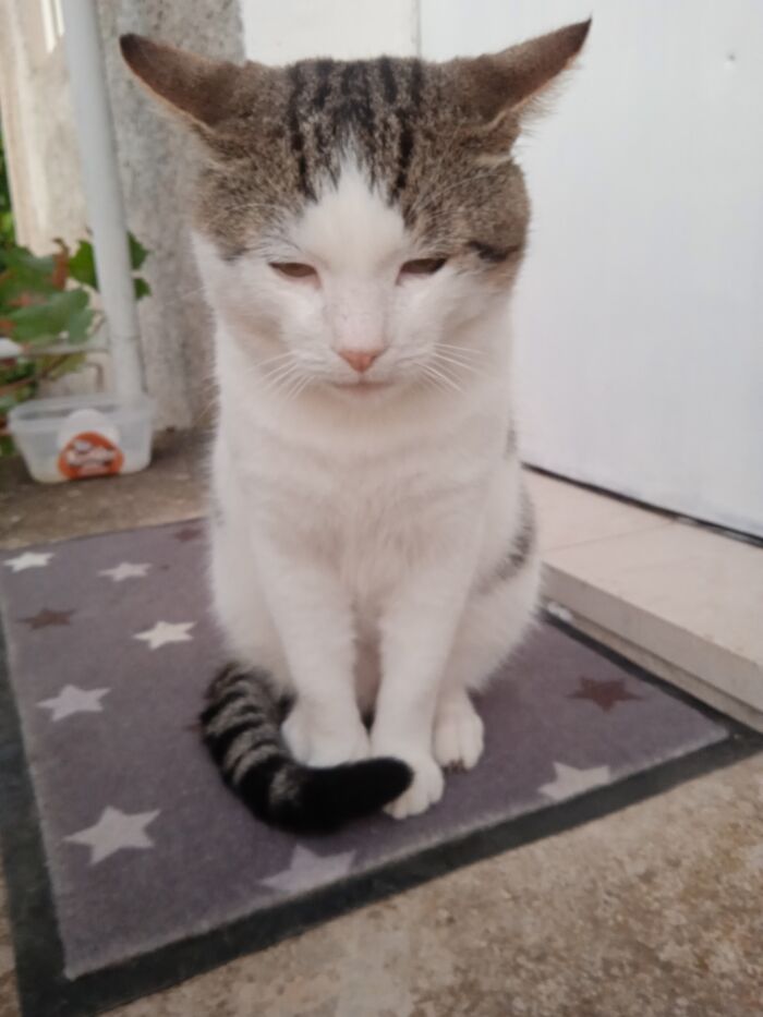 Hey Pandas, Share Something You Have Found And Taken Home (Closed) Hey Pandas, Share Something You Have Found And Taken Home (Closed)