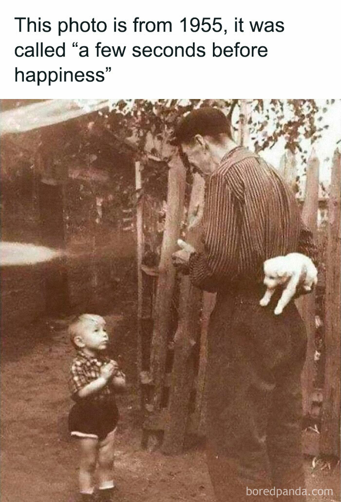 50 Memezar Memes That Are Hilariously Relatable 50 Memezar Memes That Are Hilariously Relatable