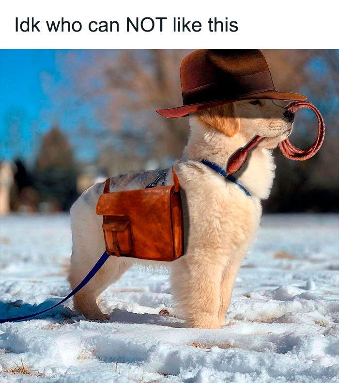 50 Memezar Memes That Are Hilariously Relatable 50 Memezar Memes That Are Hilariously Relatable