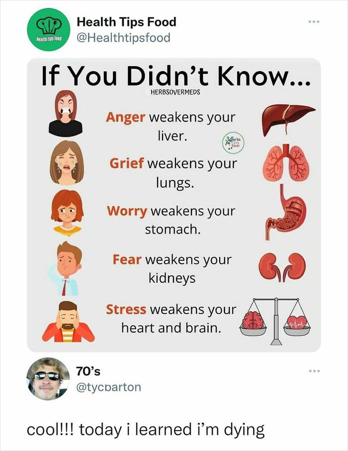 50 Memezar Memes That Are Hilariously Relatable 50 Memezar Memes That Are Hilariously Relatable