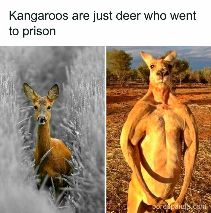 50 Memezar Memes That Are Hilariously Relatable 50 Memezar Memes That Are Hilariously Relatable